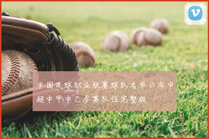 中国足球职业联赛球队名单公布中超中甲中乙参赛队伍完整版