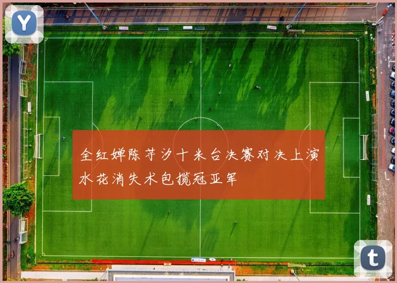 全红婵陈芋汐十米台决赛对决上演水花消失术包揽冠亚军