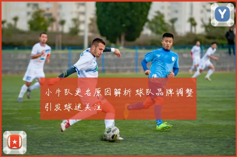 小牛队更名原因解析 球队品牌调整引发球迷关注
