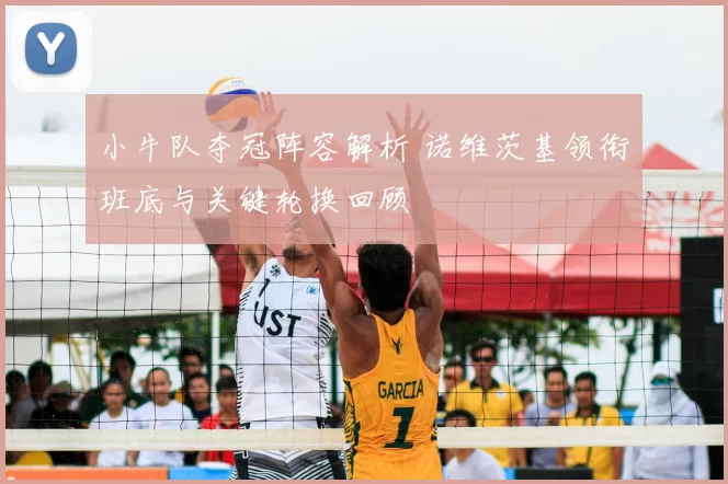 小牛队夺冠阵容解析 诺维茨基领衔班底与关键轮换回顾