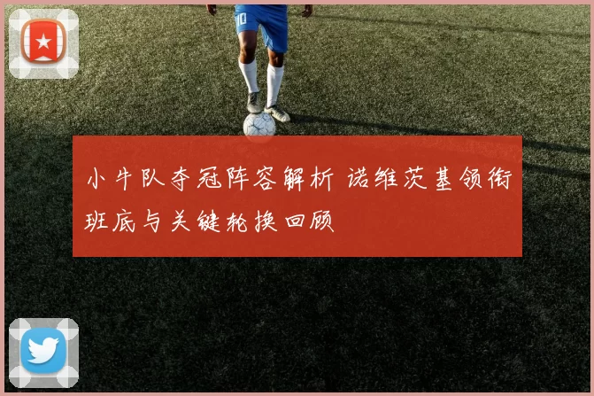 小牛队夺冠阵容解析 诺维茨基领衔班底与关键轮换回顾