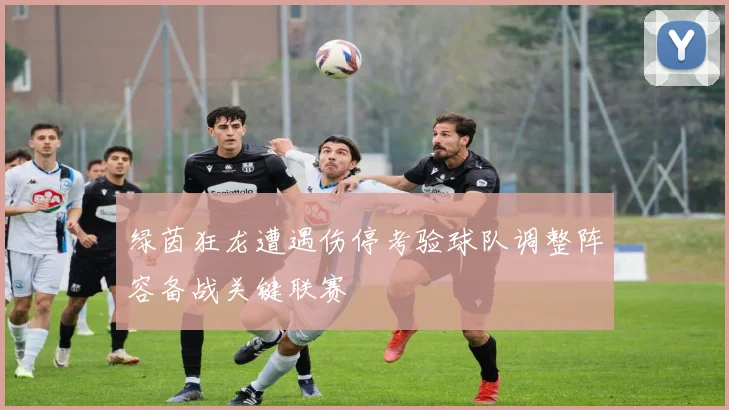 绿茵狂龙遭遇伤停考验球队调整阵容备战关键联赛