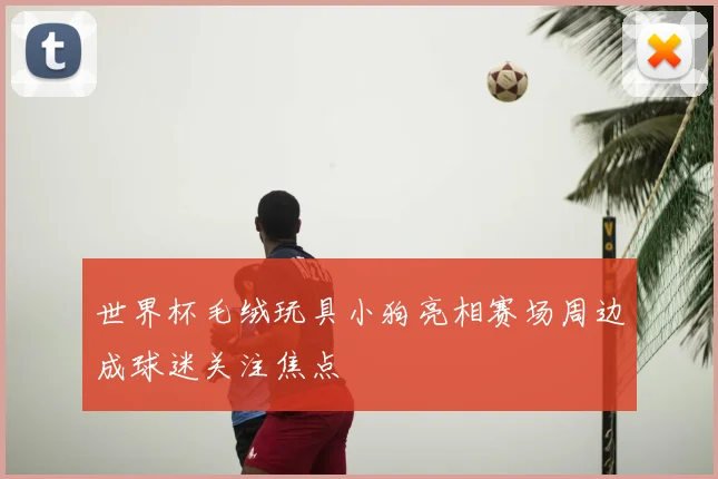 世界杯毛绒玩具小狗亮相赛场周边成球迷关注焦点