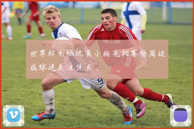 世界杯毛绒玩具小狗亮相赛场周边成球迷关注焦点