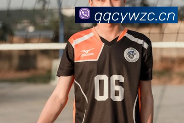 九游j9备用官网发展历程