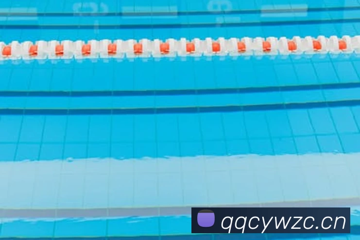 08奥运会男篮决赛美国队战胜西班牙队夺得金牌